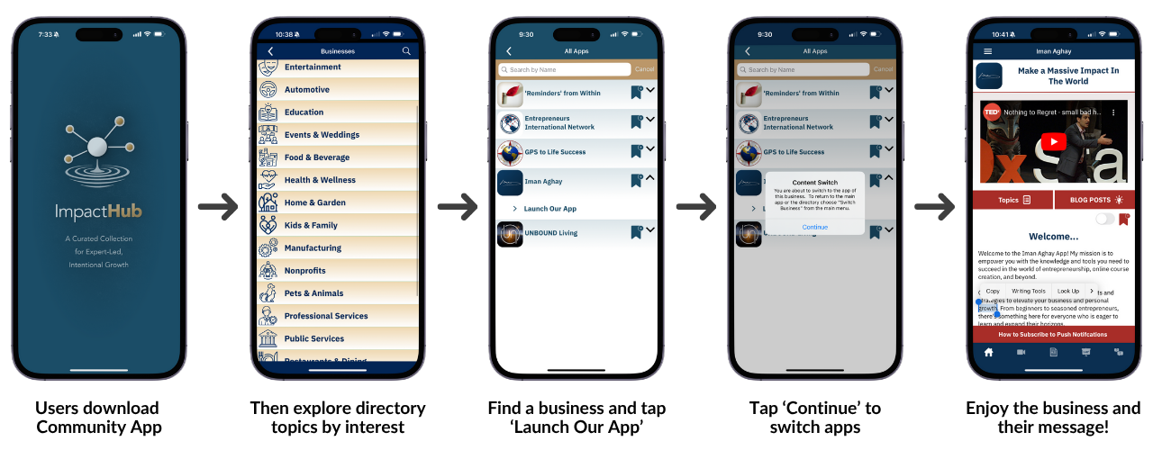 ImpactHub app flow showing user journey from community app to individual business apps